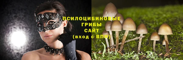 ECSTASY Богородск