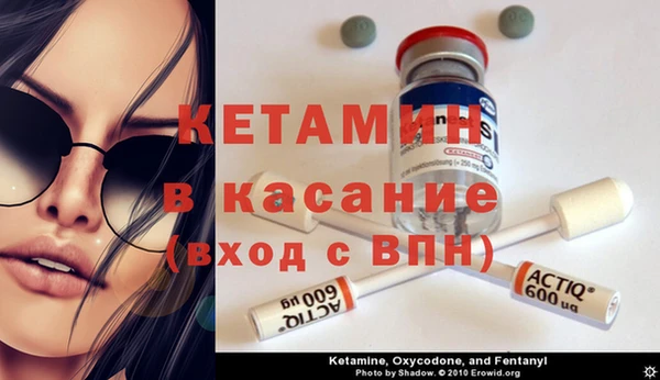 сатива Бронницы