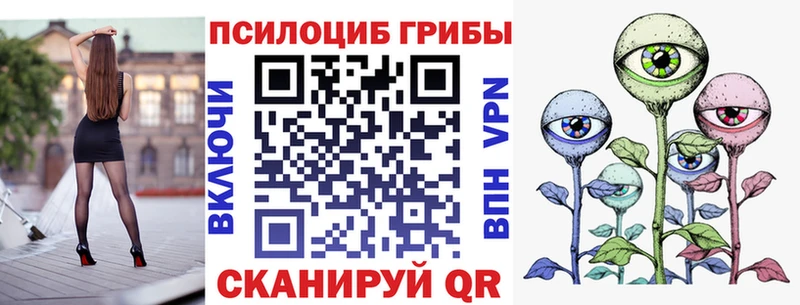 Купить  Ревда  Псилоцибиновые грибы Psilocybine cubensis 